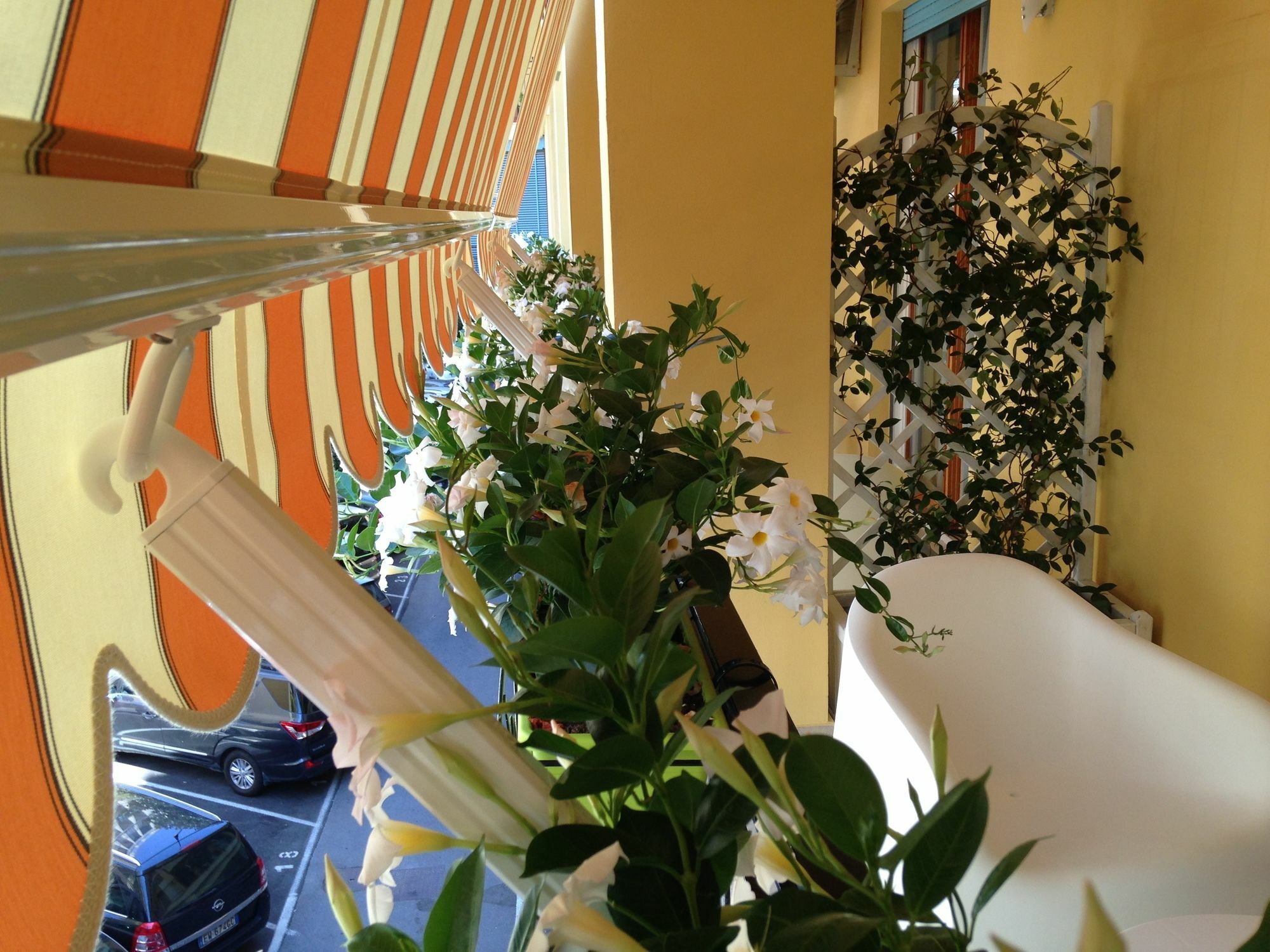 Al Parco Verde B&B Sorrento Exteriör bild